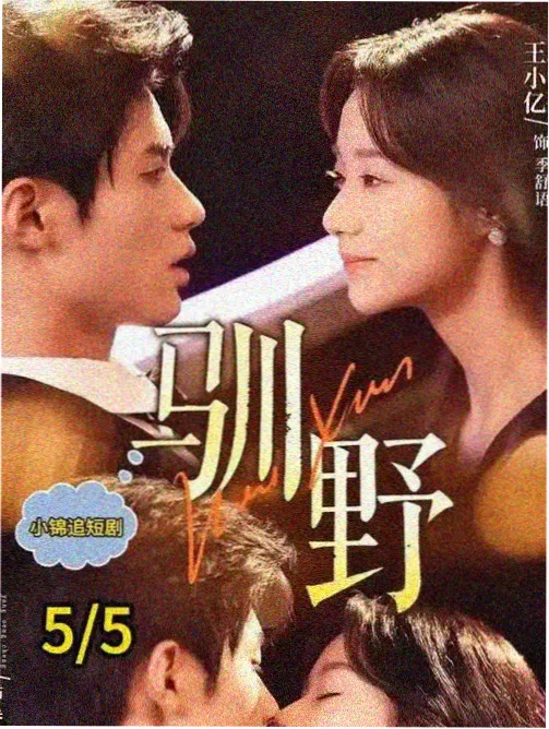 山谷信号档案剧集字幕资料封面